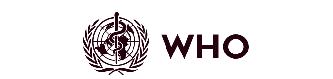awmun vi council